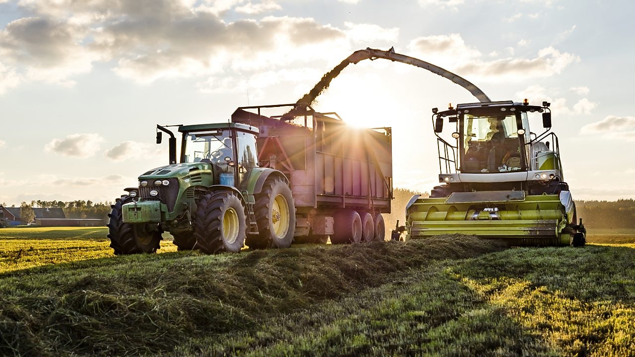 Combine harvester cutting grass and depositing into a tractor’s trailer