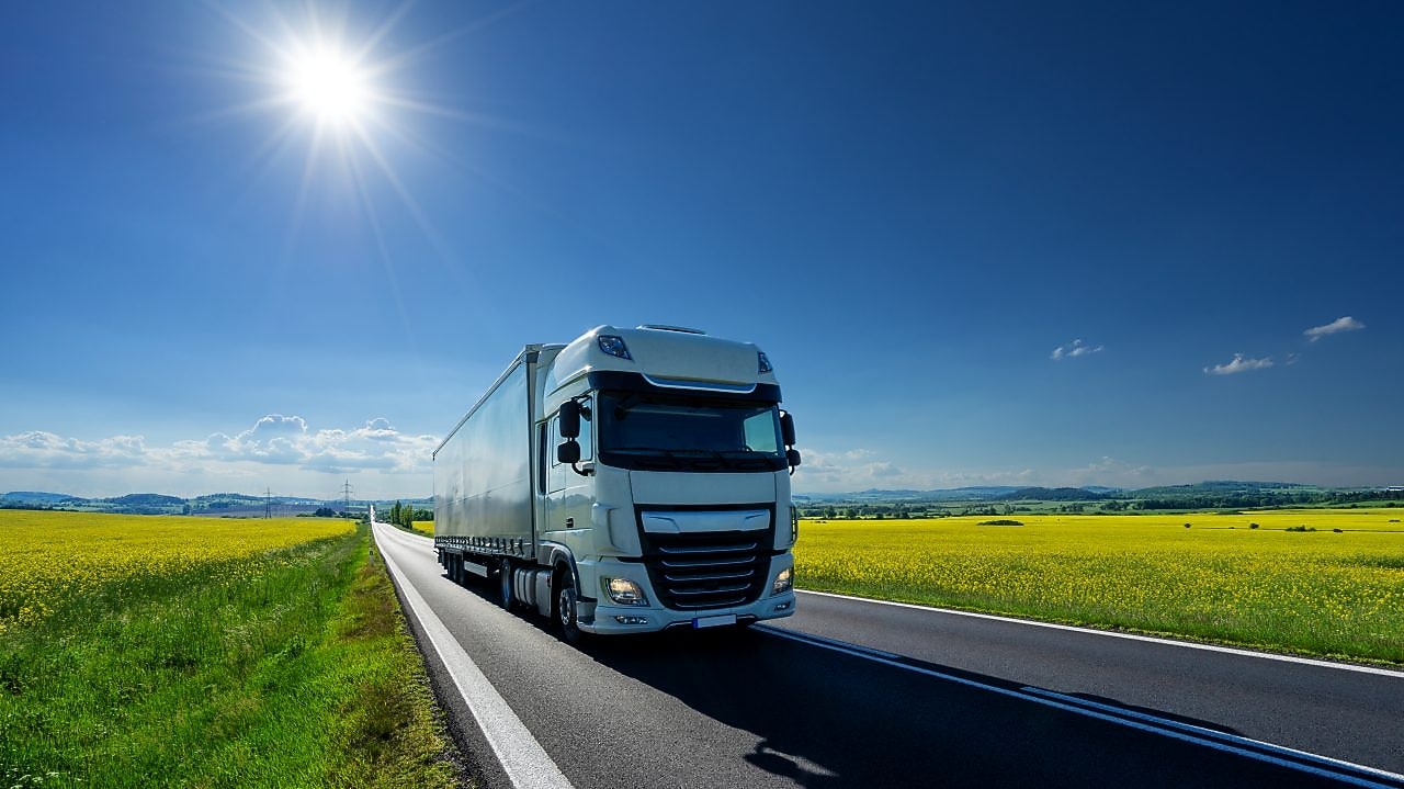 Many excavators work on construction site at sunset