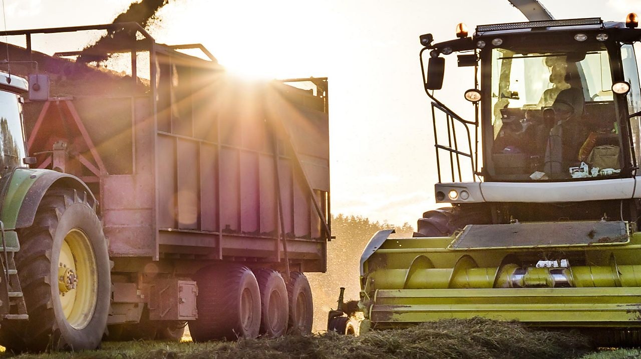 Combine harvester in field