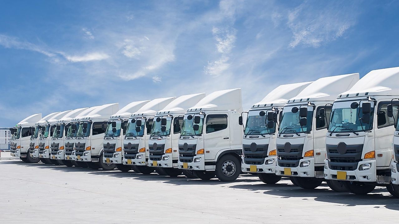 New truck fleet is parking on the yard with beautiful sky