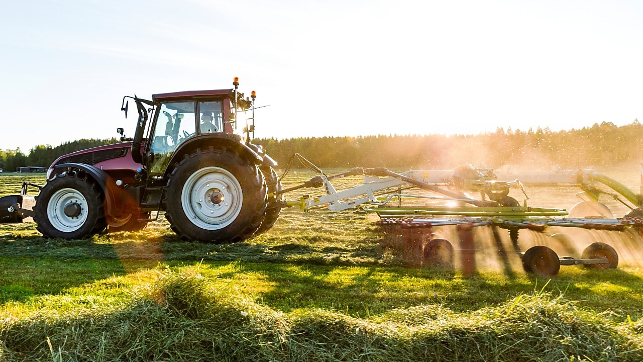 A farmer on a tractor cultivates the soil on the plantation