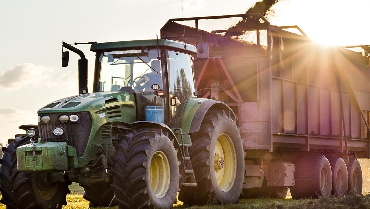 Combine harvester in field