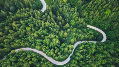 Aerial view of a road in a forest