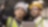 Shell worker consulting an industry worker on site