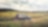 Hyundai car driving through green fields