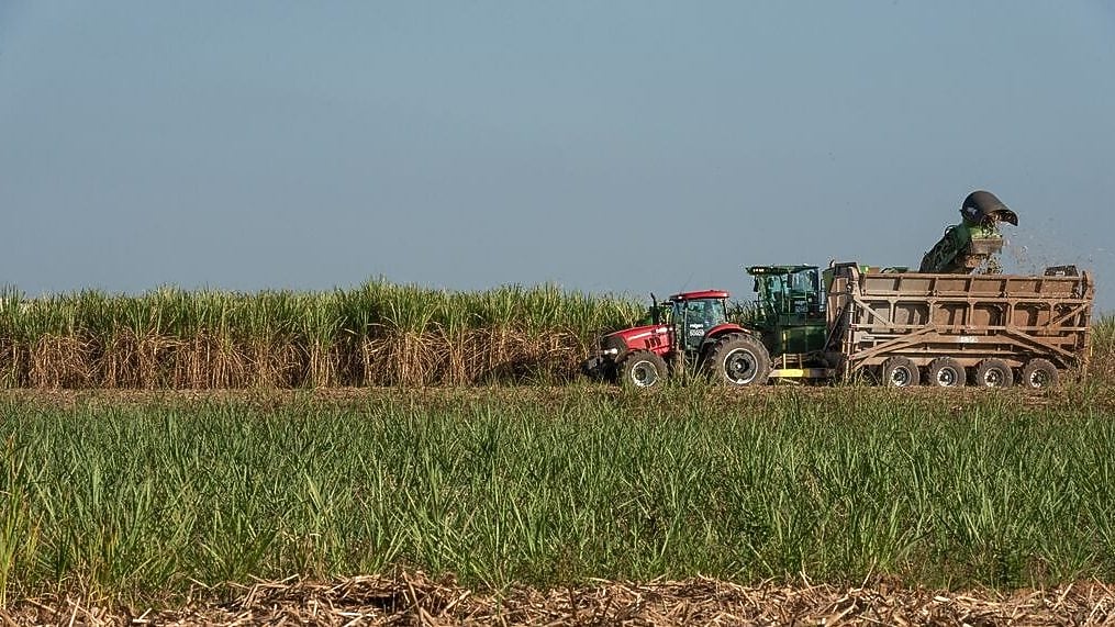 Investment in renewable and low-carbon energy