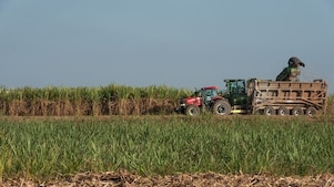 Investment in renewable and low-carbon energy