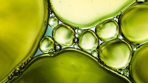 Close up of yellow and green liquid