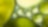 Close up of yellow and green liquid
