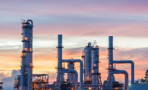 View of plant at twilight