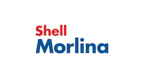 Shell Morlina