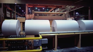 Paper mill 