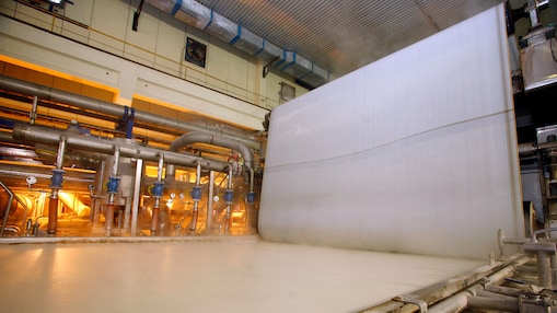 Paper mill environment