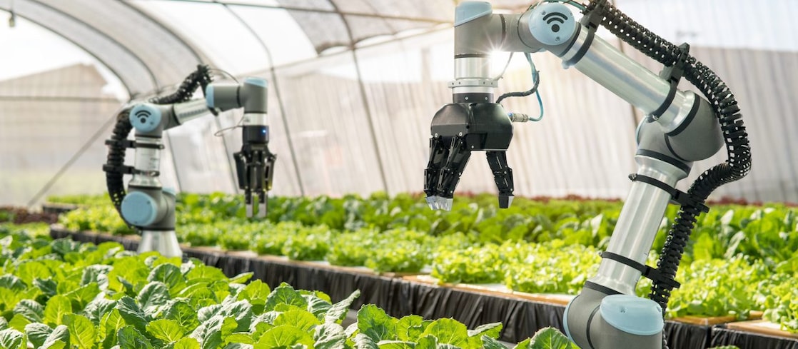robotics in a factory