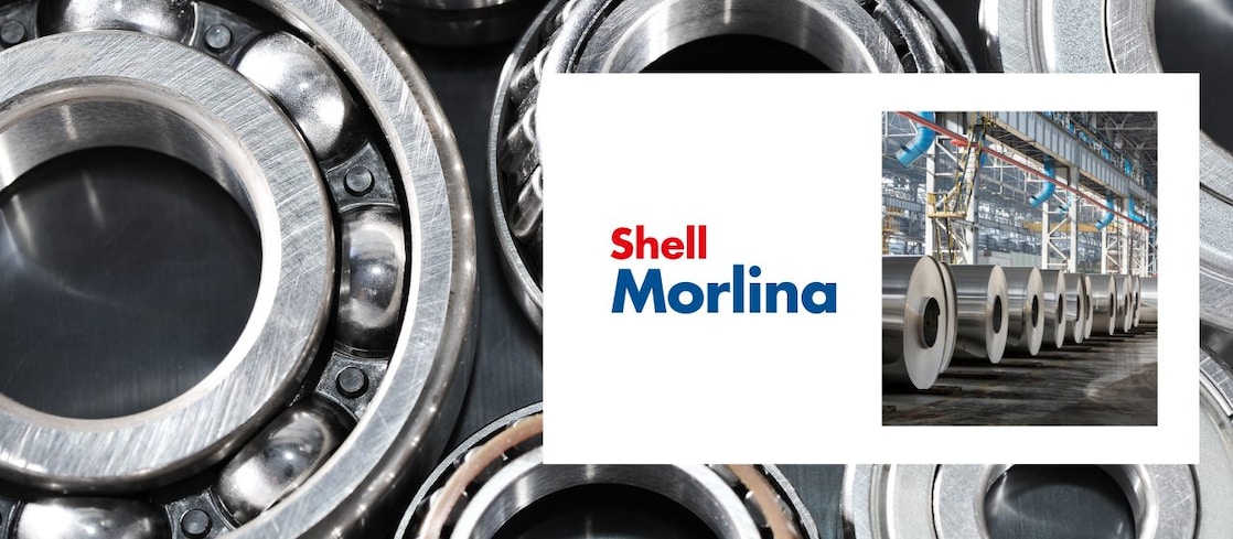 Cogs and bearings