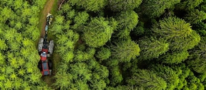 Power engineer climbing wind turbine