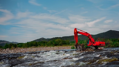 Forestry machine from above