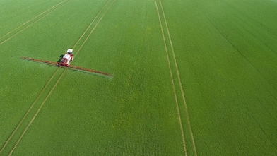Forestry & Agriculture