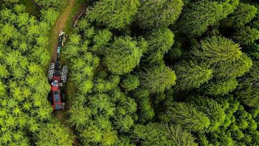 Machine in forest more industry less impact