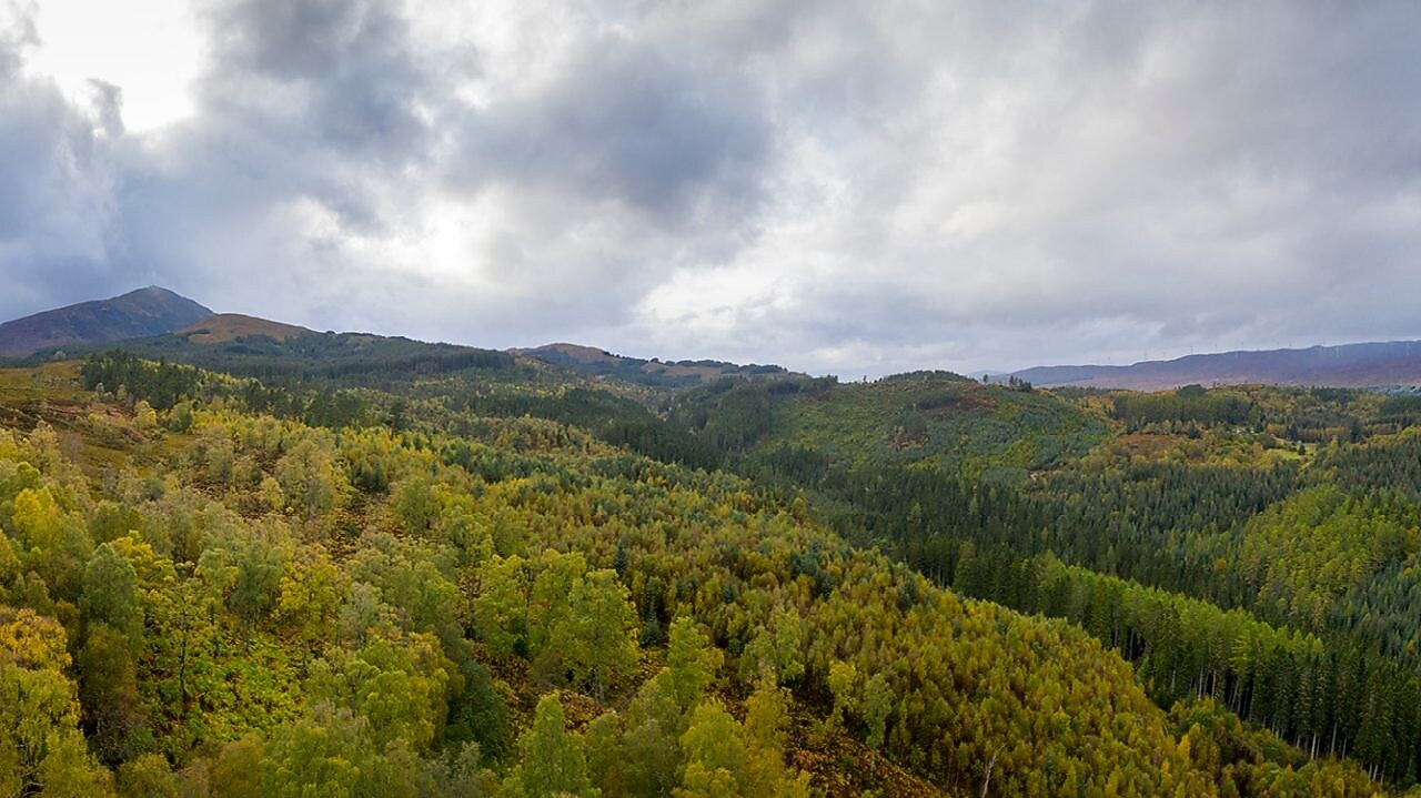 Shell PANOLIN Frequently Asked Questions | Shell Lubricant Solutions ...