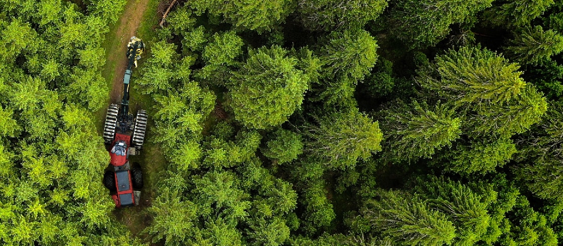 Forestry Machine from above