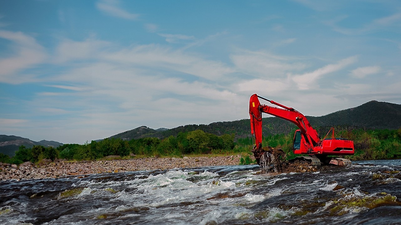 Forestry machine from above