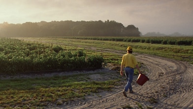 Farmer carrying bucket