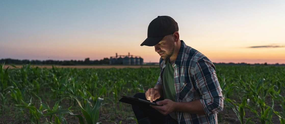 Farmer looking at tablet