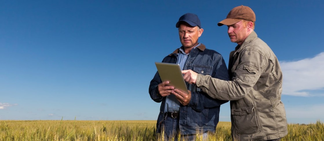 Two engineers looking at tablet 