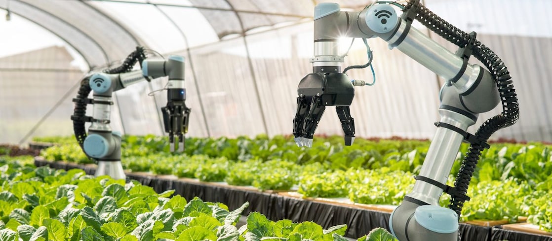 Optimizing performance in robotics manufacturing sector