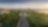 Road leading to the city through green hills