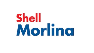 Shell Morlina