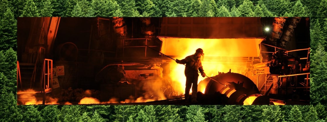 Metals engineer image layered over image of forest