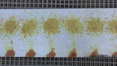 Lubrication testing