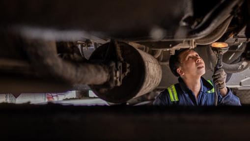Engineer using Rimula
