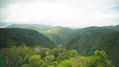 Trees on hills new