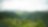Trees on hills new