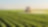 Next-generation mineral-oil-free crop protection