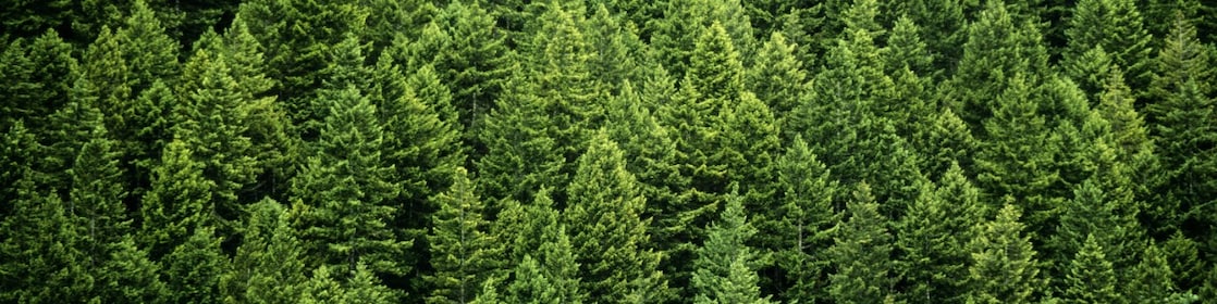 Sustainability