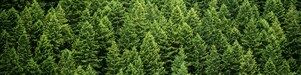 Sustainability