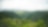 Aerial view of dense forest