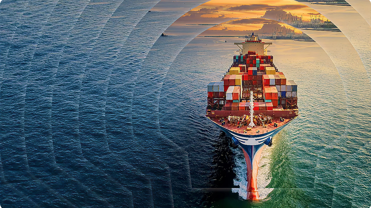 Shipping container with 4 Shell pectens laid over