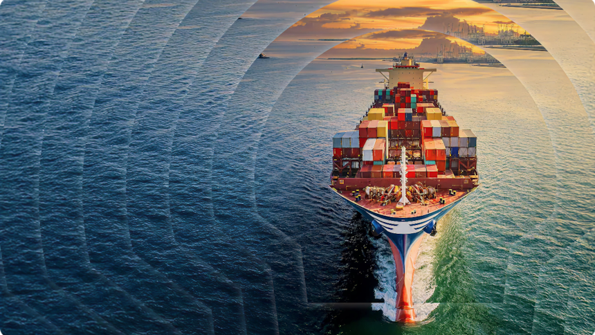 Shipping container with 4 Shell pectens laid over