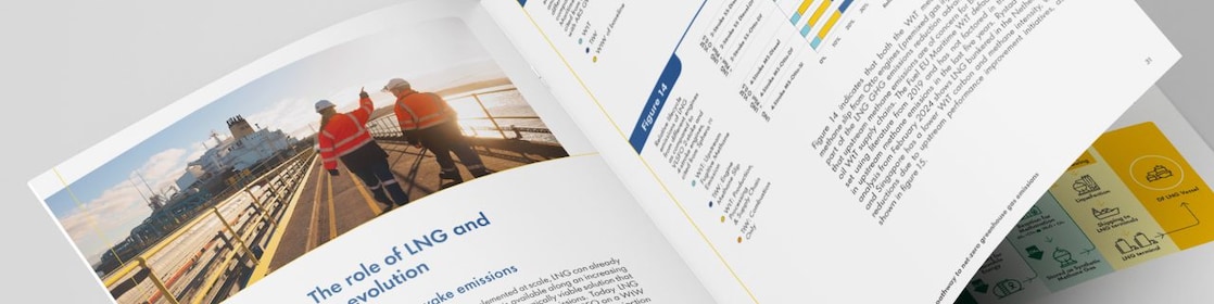 Mockup of the LNG’s pathway report