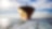 Bow view of cargo ship sailing out of port.