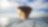Bow view of cargo ship sailing out of port.