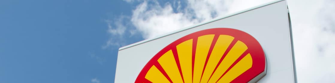 Shell pecten logo
