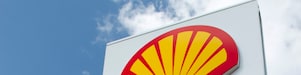 Shell pecten logo