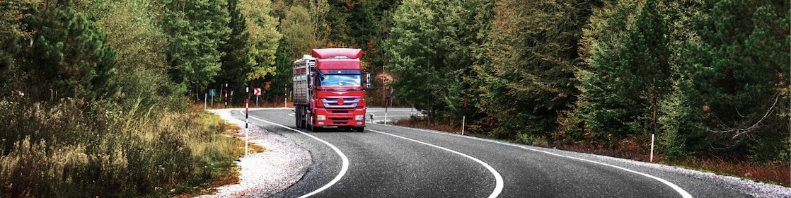 Truck driving through forest