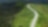 Winding road traversing heavily forested area